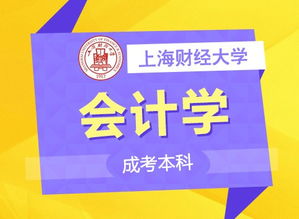 上海成考擇校指南 名校聚集，專業齊全，助力職場人輕松提升學歷
