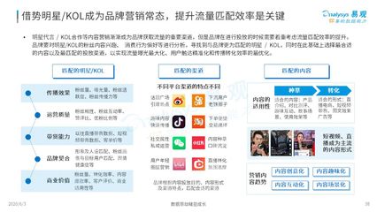 2020中國(guó)社會(huì)化媒體營(yíng)銷市場(chǎng)分析報(bào)告